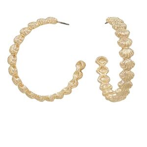 Linked Shell Shape Hoops